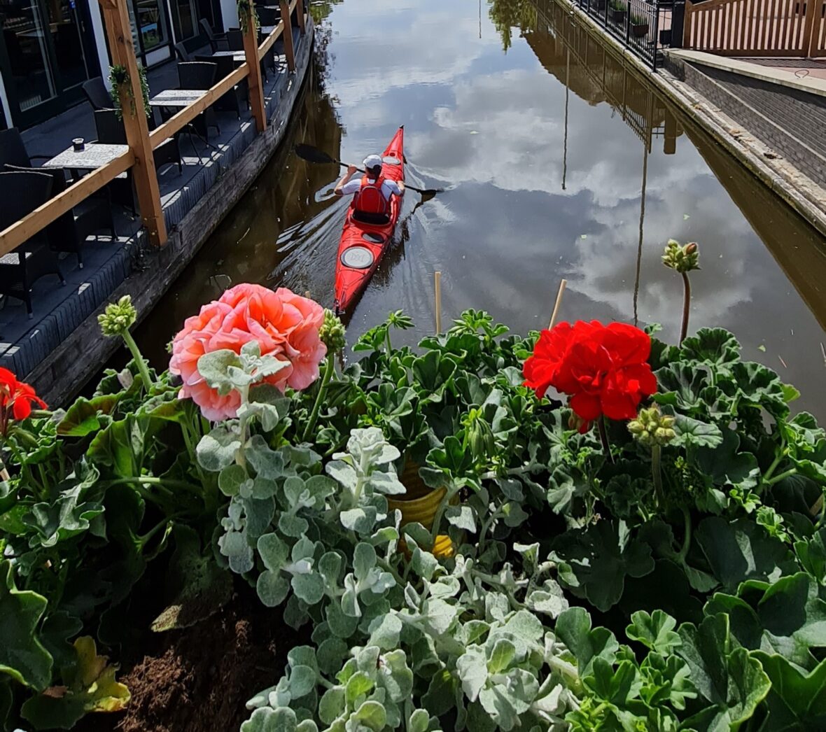 2022: Bloemen in Stompwijk